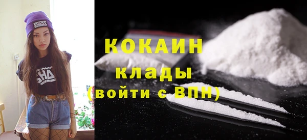 прущий лед Вяземский