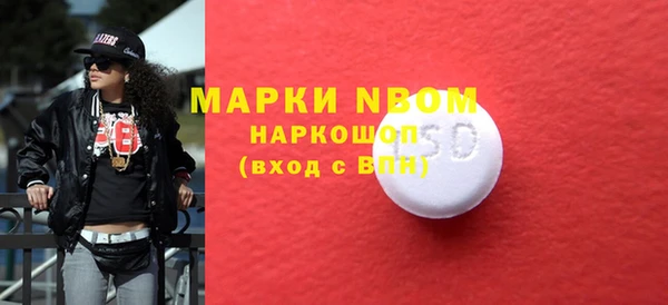 прущий лед Вяземский