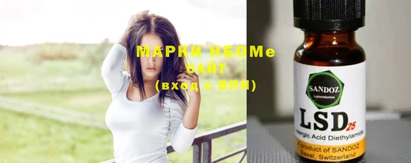 прущий лед Вяземский