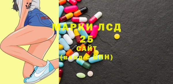 прущий лед Вяземский