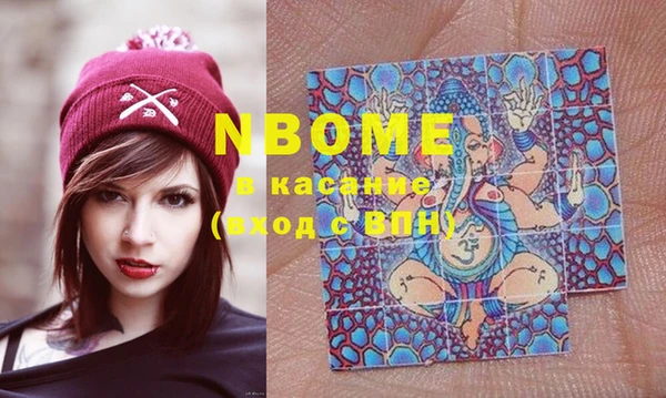 прущий лед Вяземский
